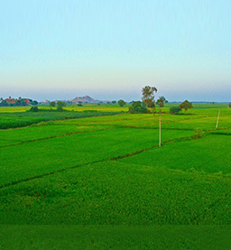 Land Reforms